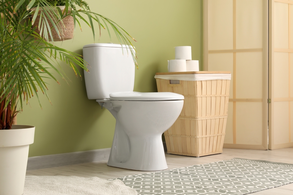 How to Clean Under and Behind Your Toilet