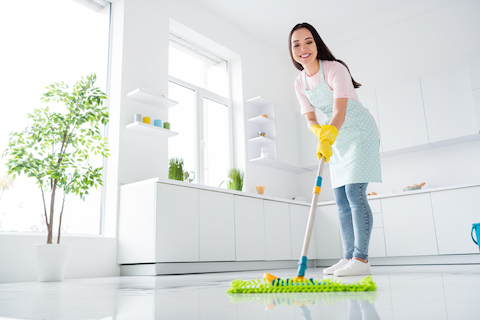 best home cleaning in west des moines