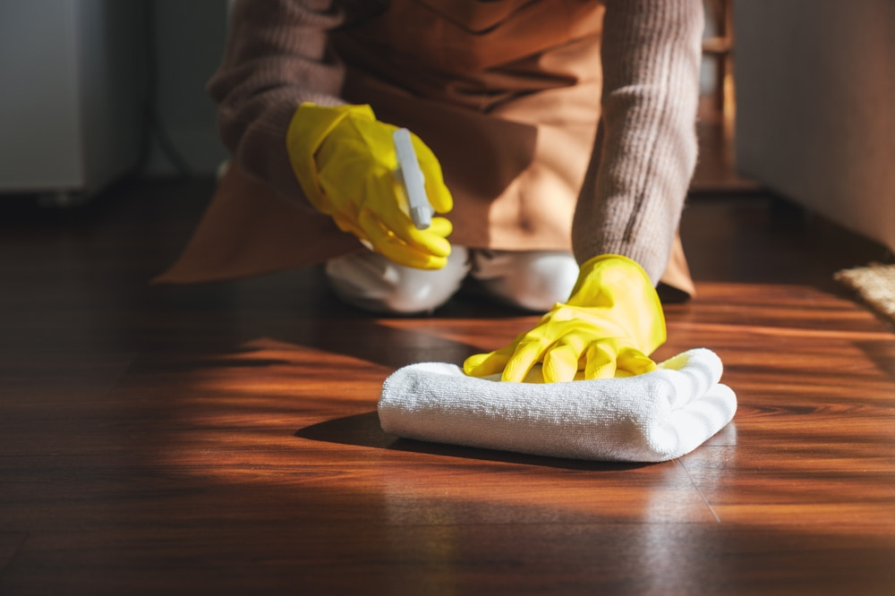 best cleaning services west des moines