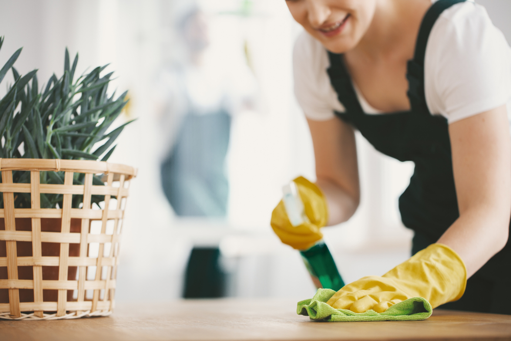 reliable house cleaning services in Clive