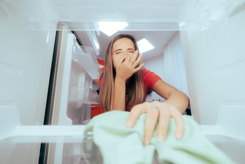 How to Deep Clean Your Refrigerator and Freezer