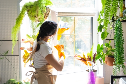 What is the best way to divide spring cleaning tasks