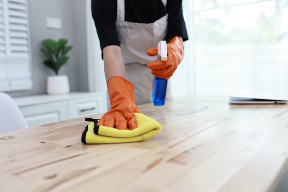 How do I find professional house cleaners in Boone and the surrounding area?